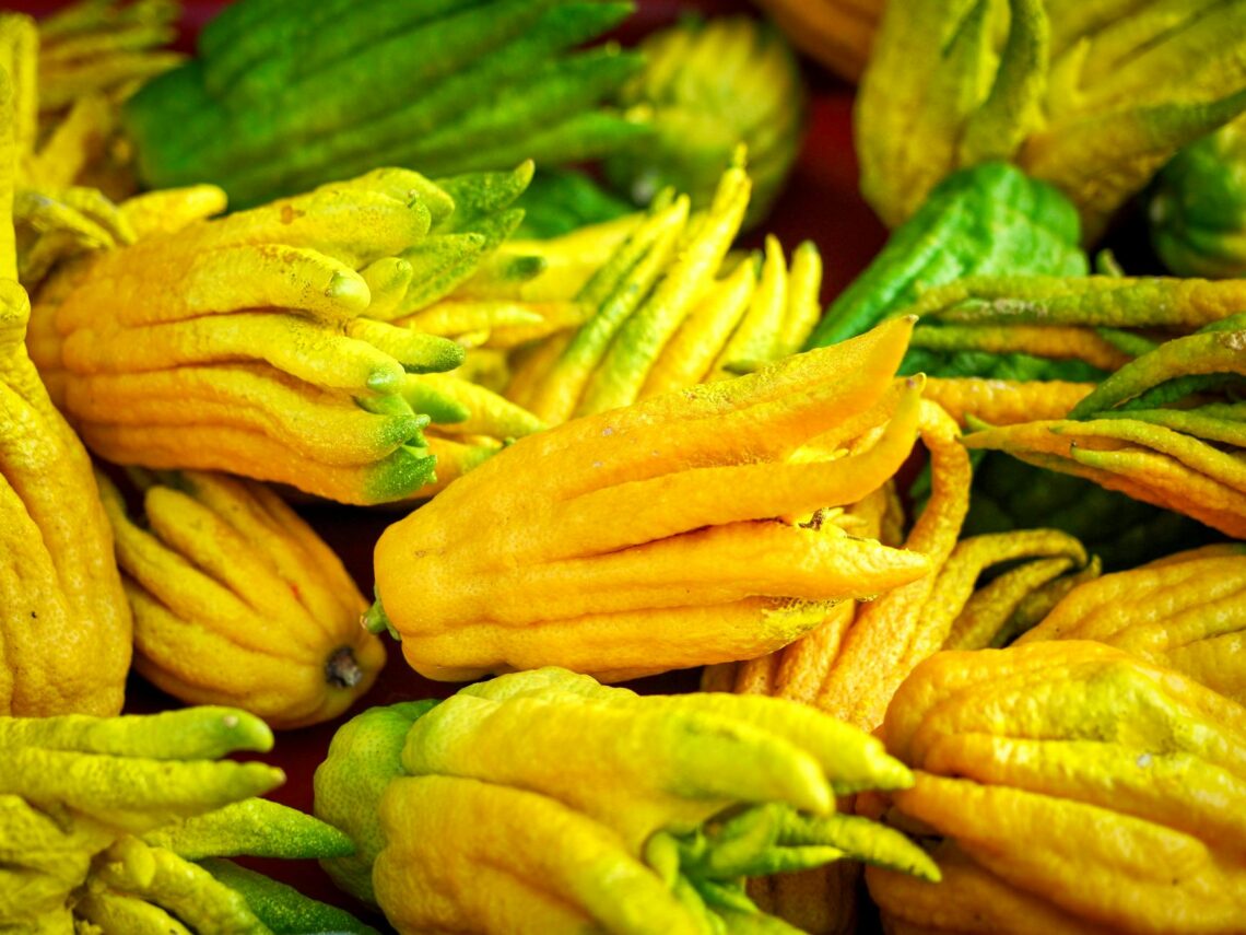 yuzu et yacon frais sur une planche en bois, fruits exotiques lettre Y