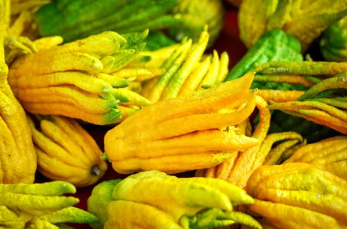 yuzu et yacon frais sur une planche en bois, fruits exotiques lettre Y